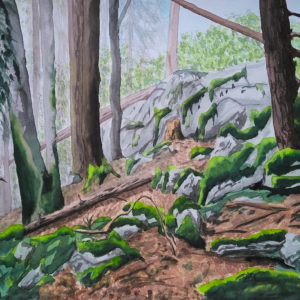 Barre rocheuse - le Châble 2