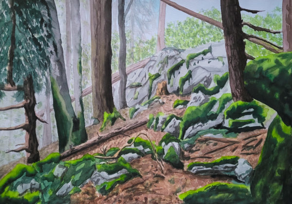 Barre rocheuse - le Châble 2