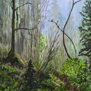 Chemin emprunté par un Lynx