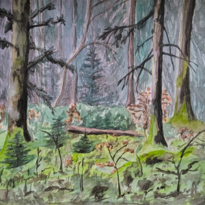 Territoire de Gélinotte des bois