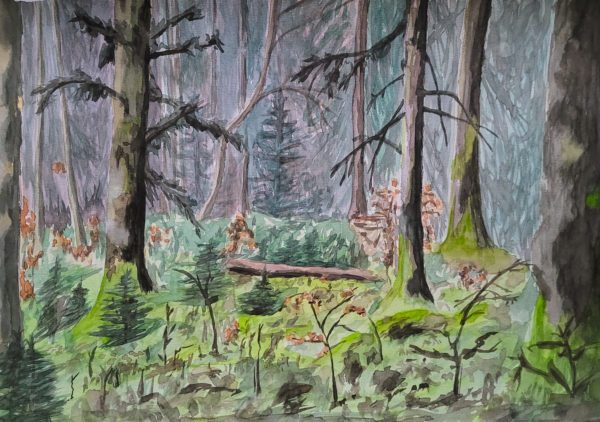Territoire de Gélinotte des bois