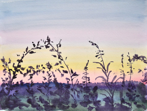 Un soir sur le Suard
