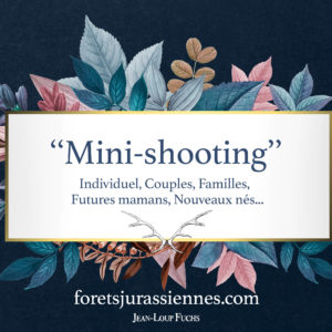 "Mini-shooting"