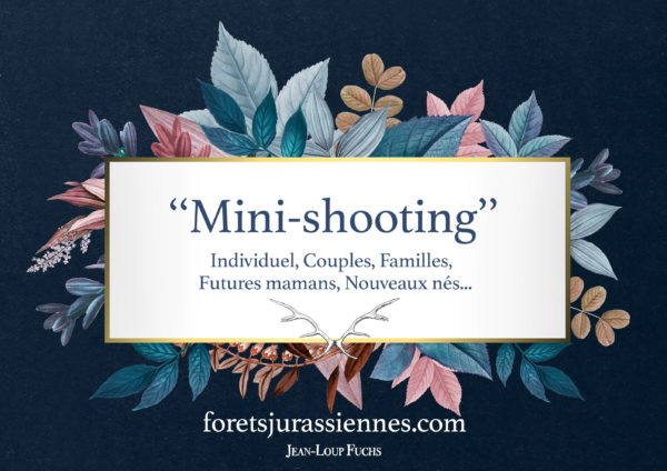 "Mini-shooting"
