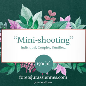 "Mini-shooting"