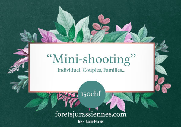 "Mini-shooting"